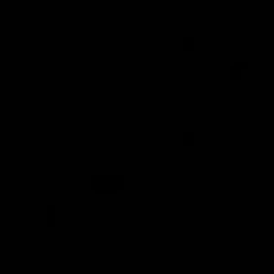 Meet your Posher, Donika